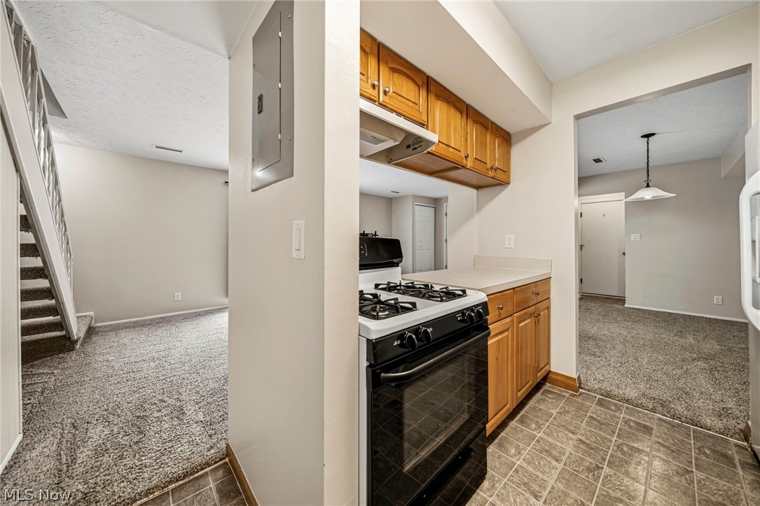 8126 Independence Drive Mentor OH 44060