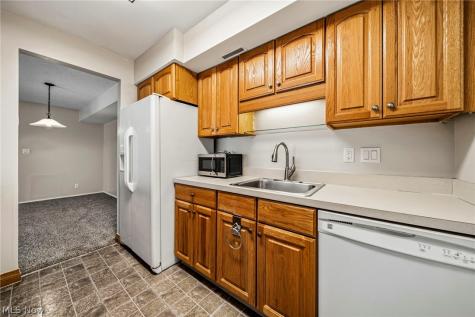 8126 Independence Drive Mentor OH 44060