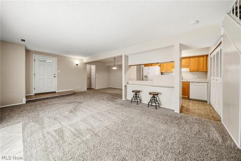 8126 Independence Drive Mentor OH 44060