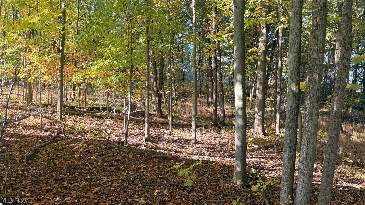 272 State Route 58 Sullivan OH 44880