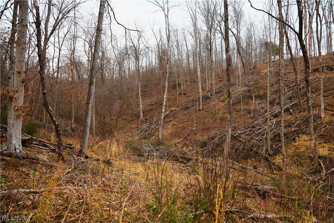 Brimstone Road Coolville OH 45723