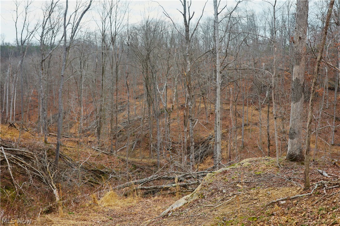 Brimstone Road Coolville OH 45723