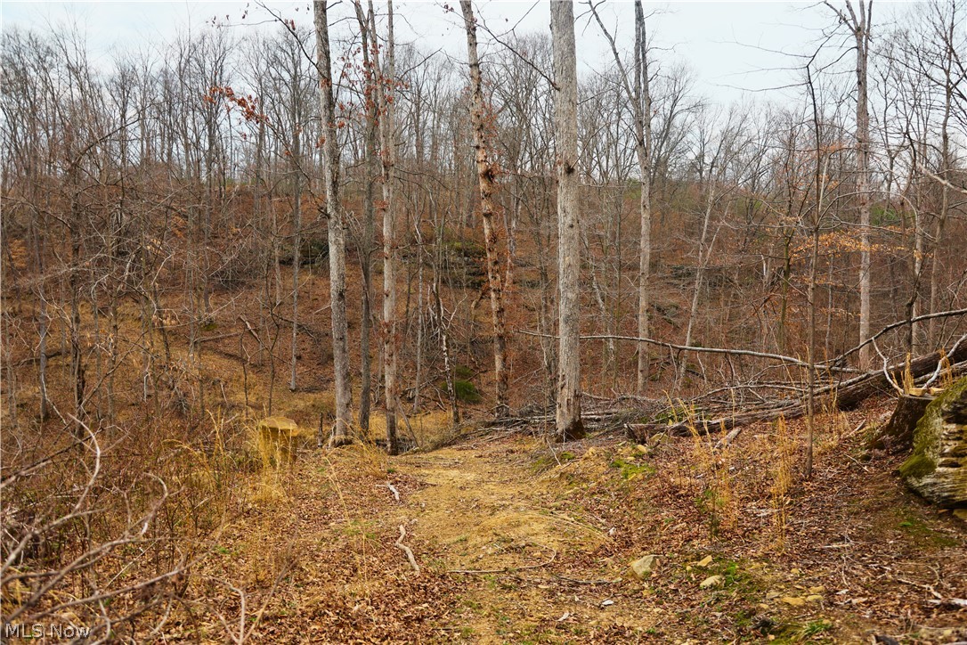 Brimstone Road Coolville OH 45723