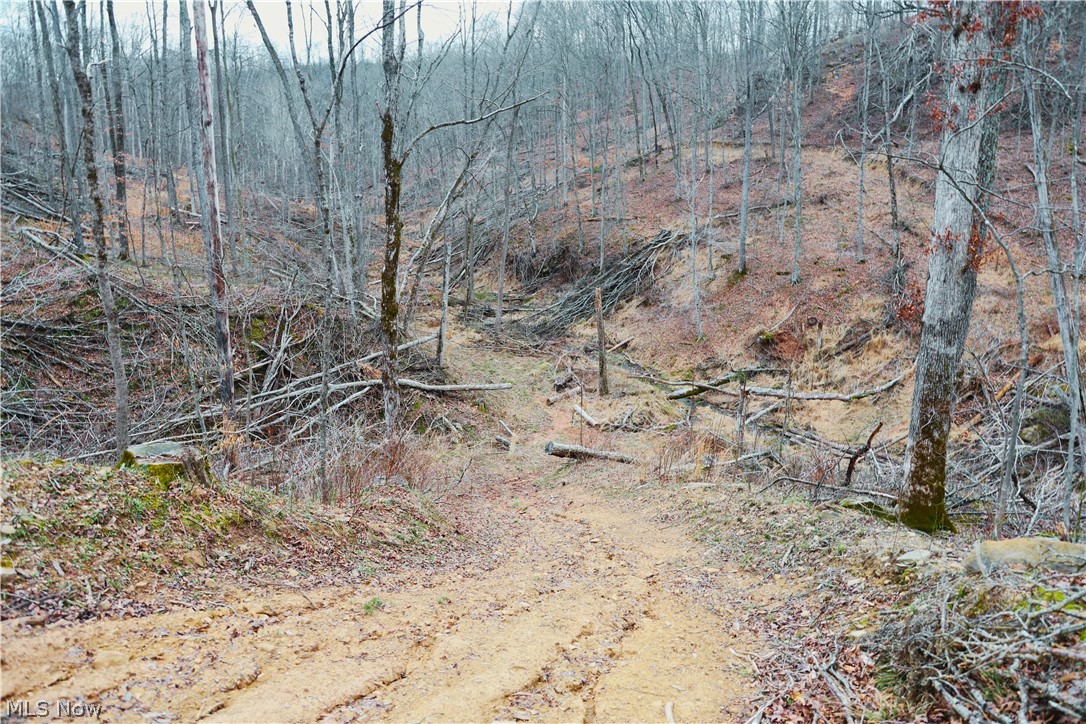 Brimstone Road Coolville OH 45723