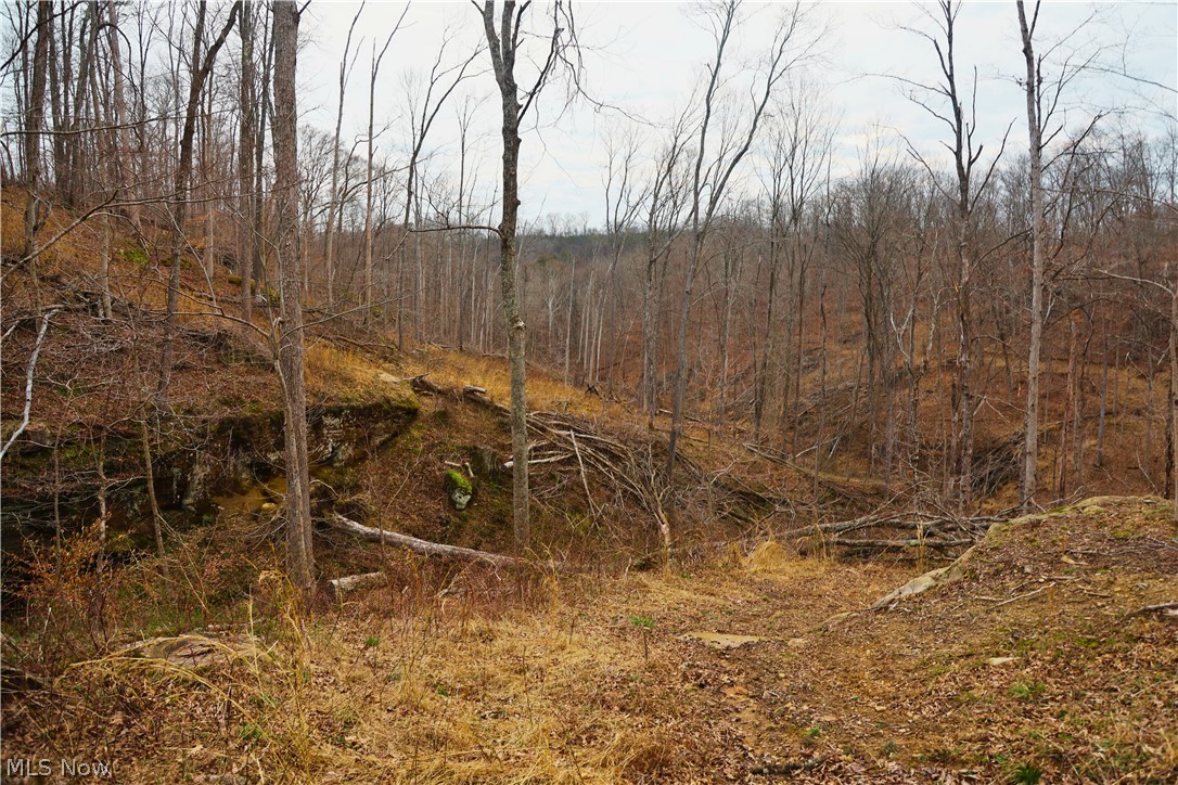 Brimstone Road Coolville OH 45723