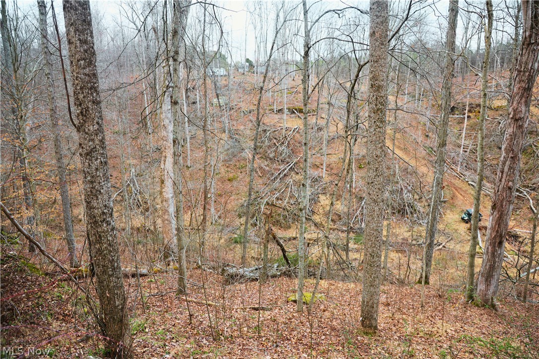 Brimstone Road Coolville OH 45723