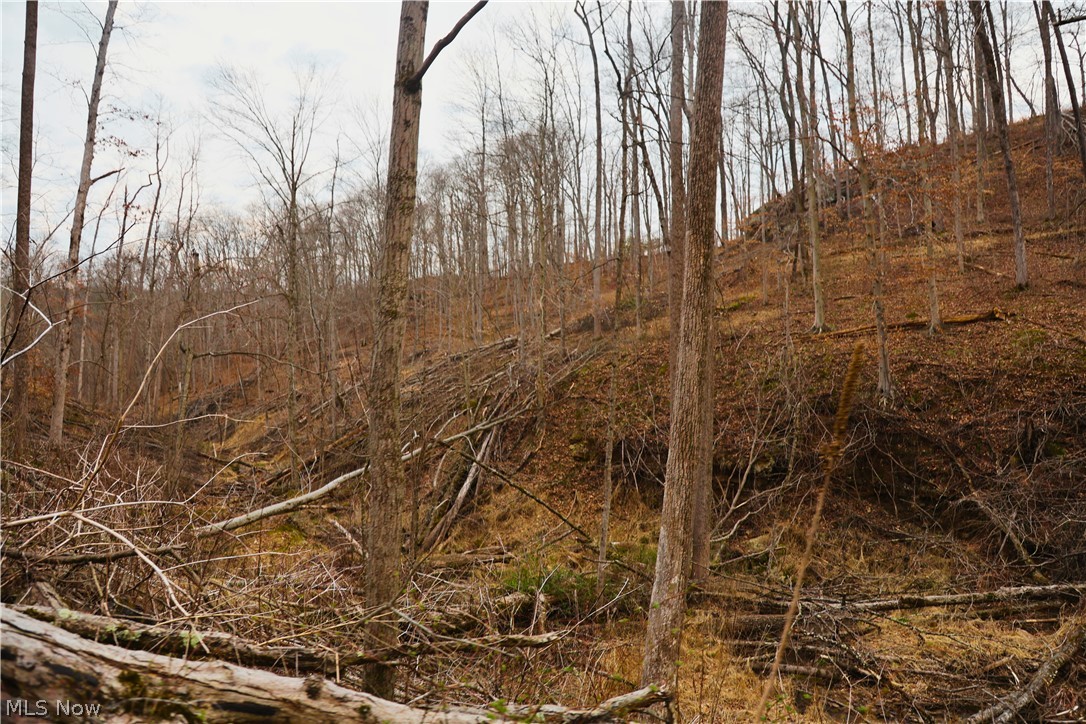 Brimstone Road Coolville OH 45723