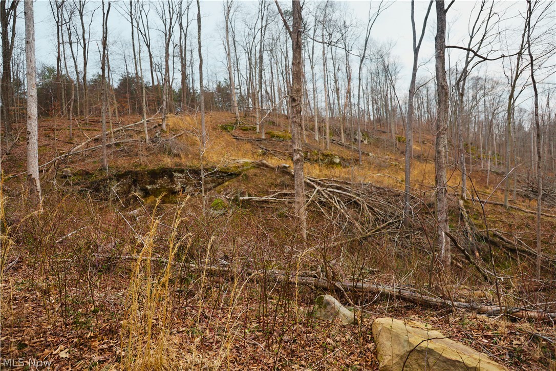 Brimstone Road Coolville OH 45723