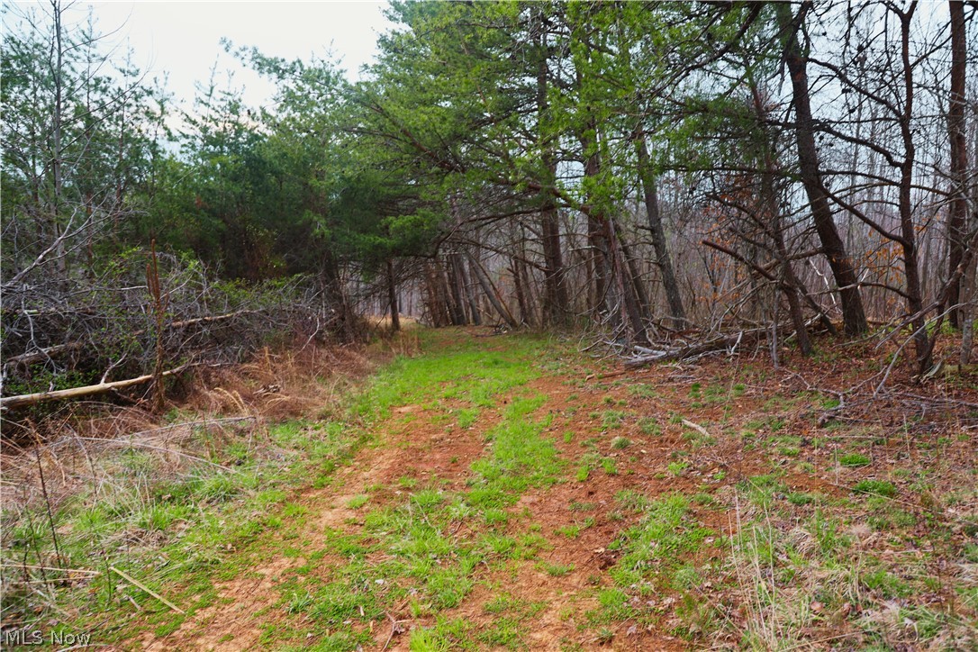 Brimstone Road Coolville OH 45723