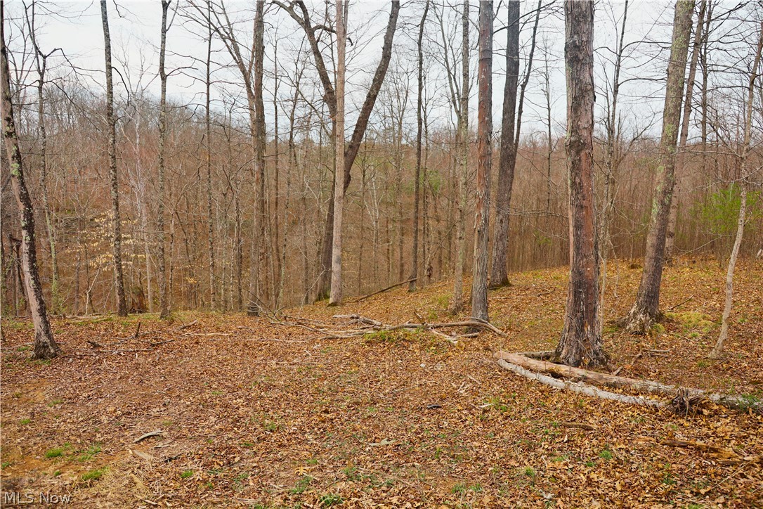 Brimstone Road Coolville OH 45723