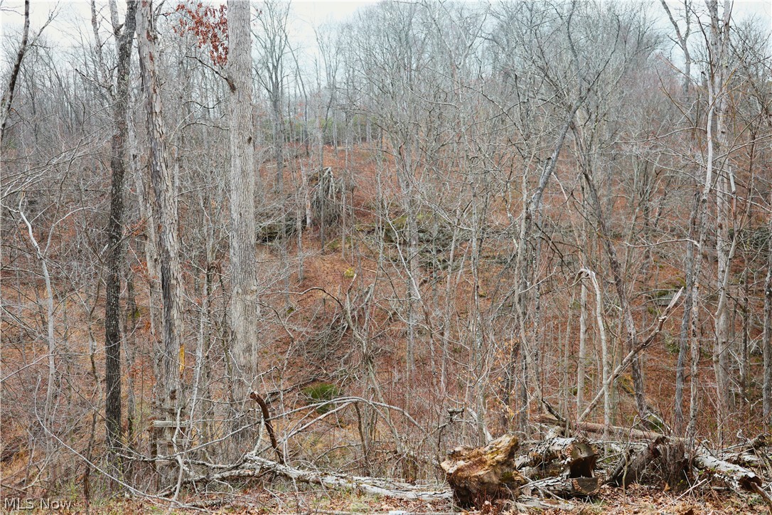 Brimstone Road Coolville OH 45723