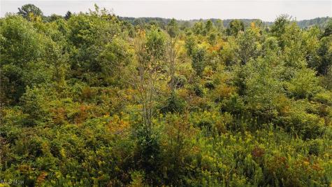 Township Road 581 Sullivan OH 44880