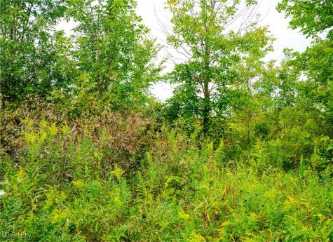 Township Road 581 Sullivan OH 44880