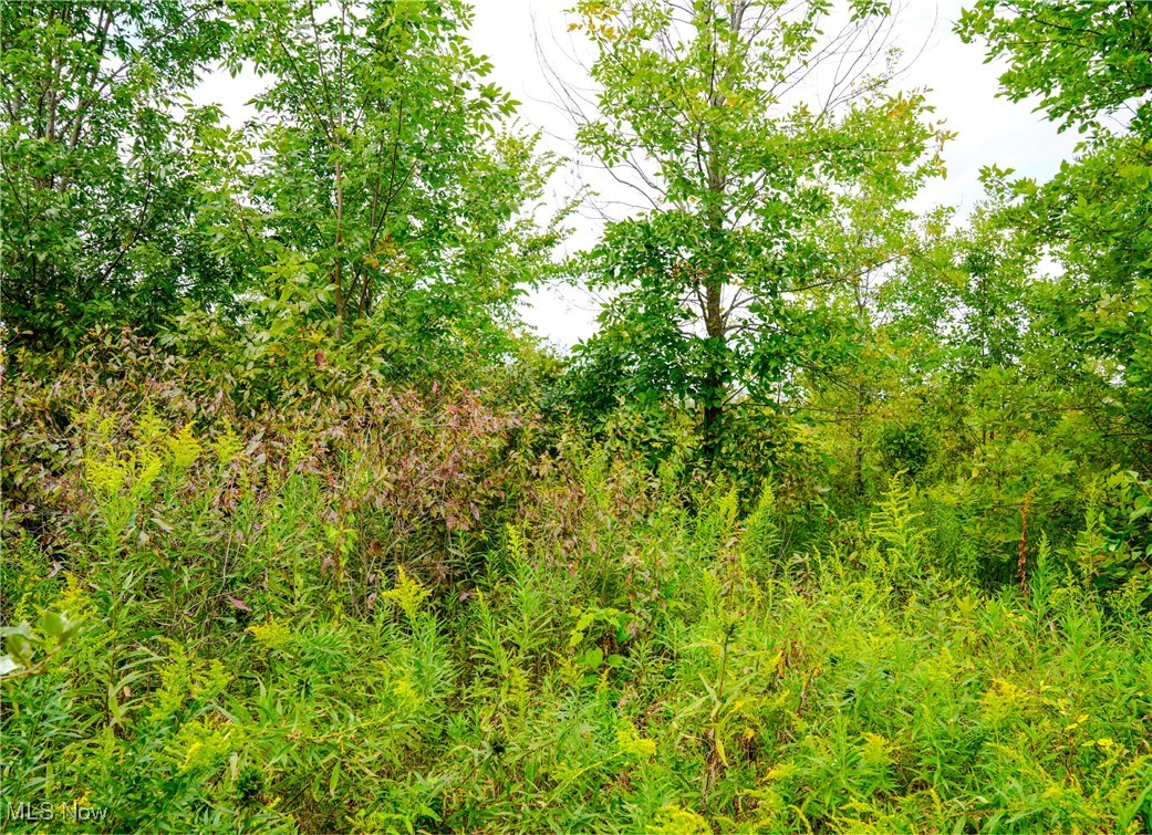 Township Road 581 Sullivan OH 44880