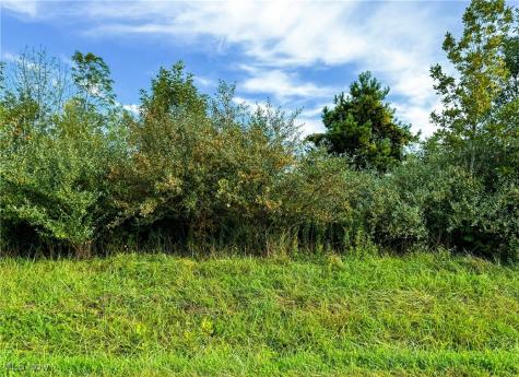 Township Road 581 Sullivan OH 44880