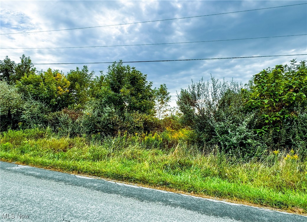 Township Road 581 Sullivan OH 44880
