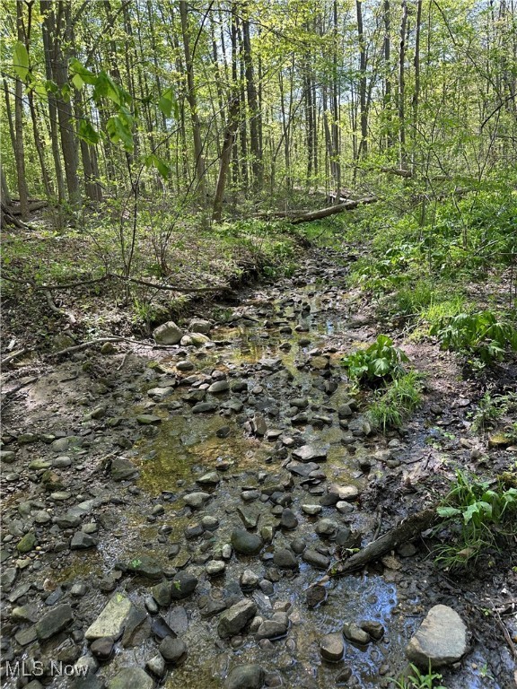 11611 Washington Street Chagrin Falls OH 44023