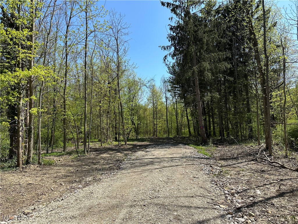 11611 Washington Street Chagrin Falls OH 44023