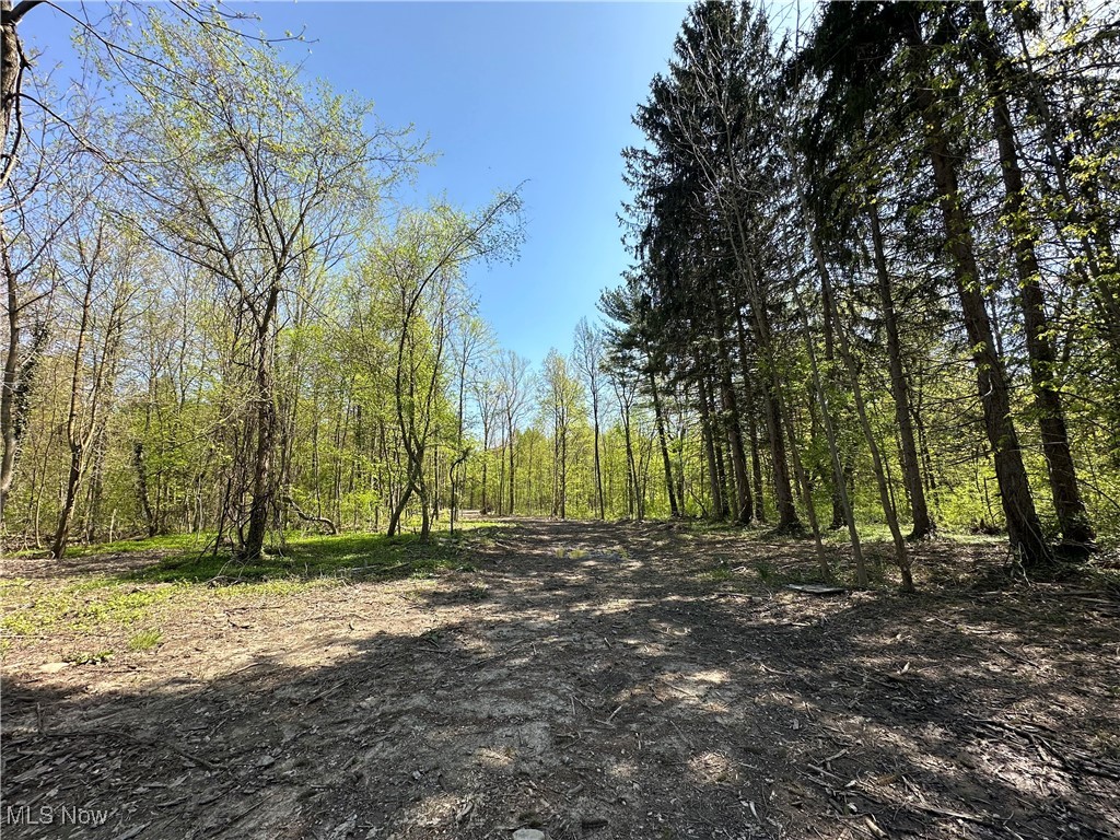 11611 Washington Street Chagrin Falls OH 44023