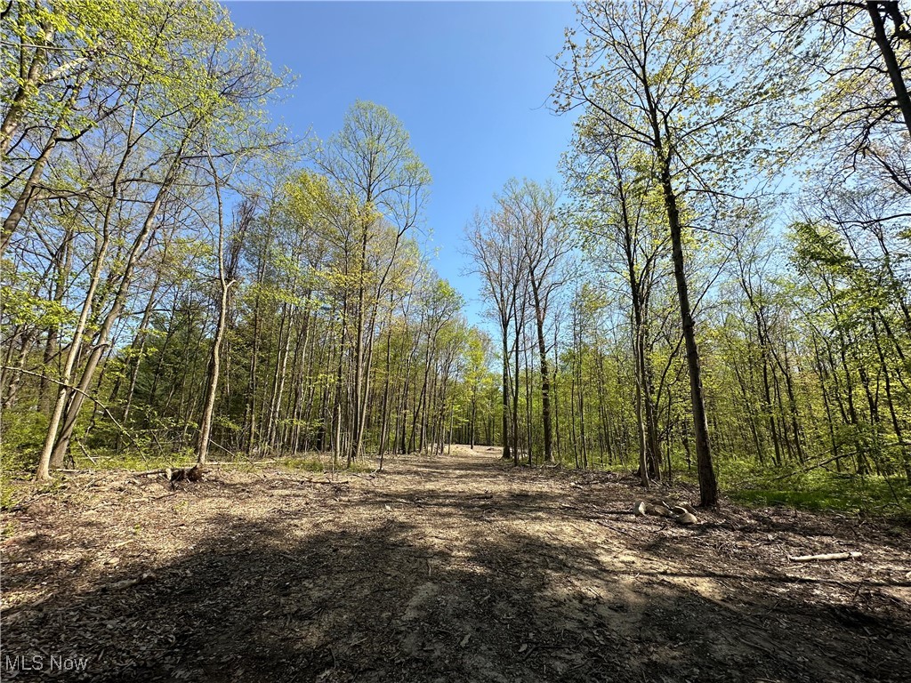 11611 Washington Street Chagrin Falls OH 44023