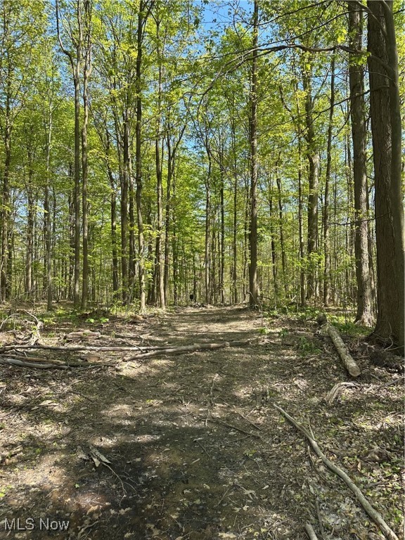 11611 Washington Street Chagrin Falls OH 44023