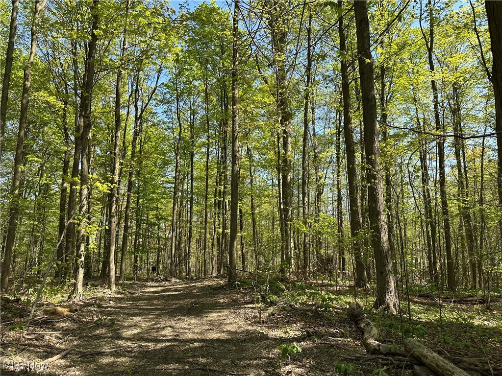 11611 Washington Street Chagrin Falls OH 44023