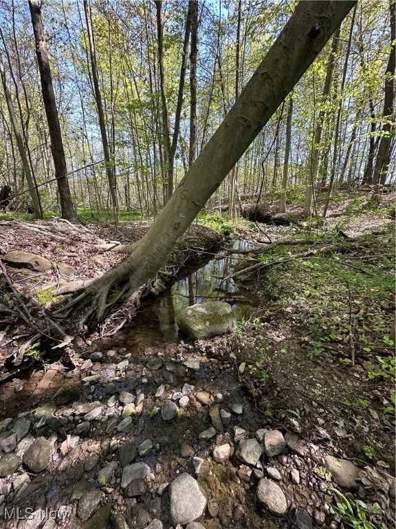 11611 Washington Street Chagrin Falls OH 44023