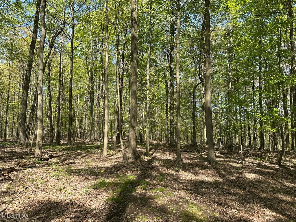 11611 Washington Street Chagrin Falls OH 44023