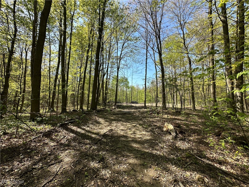 11611 Washington Street Chagrin Falls OH 44023