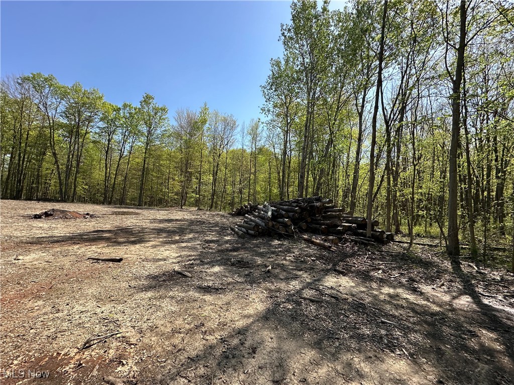 11611 Washington Street Chagrin Falls OH 44023