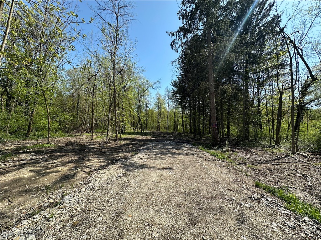 11611 Washington Street Chagrin Falls OH 44023