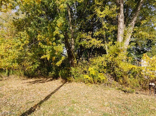 336 Furnace Street Elyria OH 44035