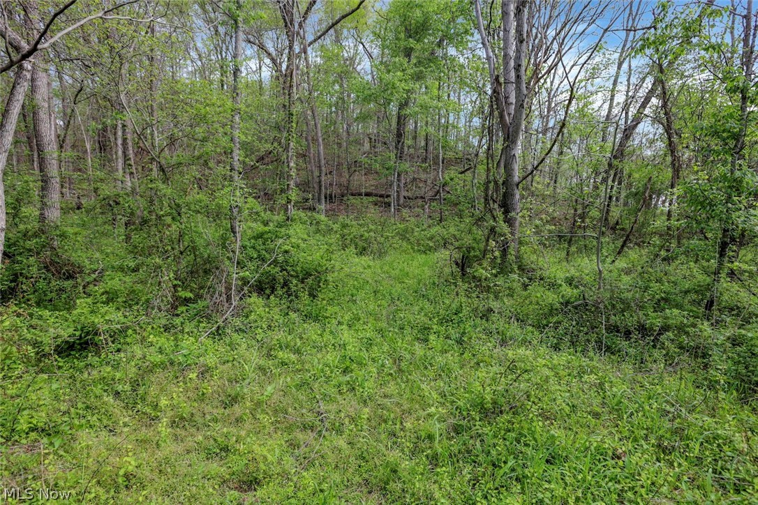 6879 Beard Price Road Glouster OH 45732