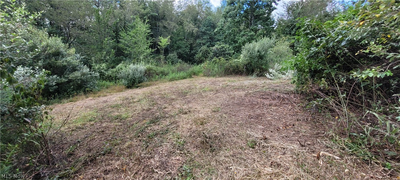 37760 Tappan Scio Road Scio OH 43988