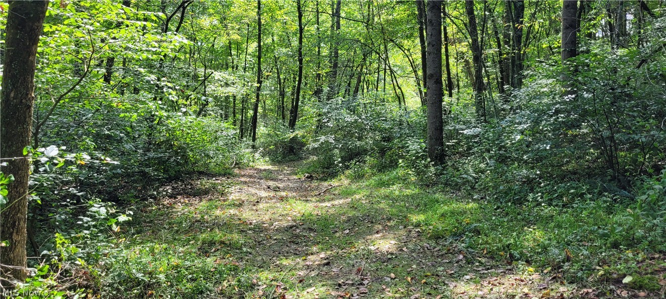 37760 Tappan Scio Road Scio OH 43988