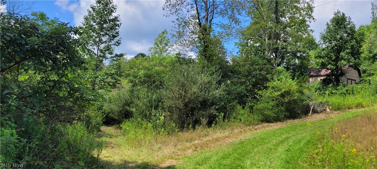 37760 Tappan Scio Road Scio OH 43988