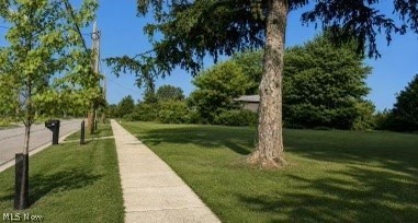 Case Street Twinsburg OH 44087