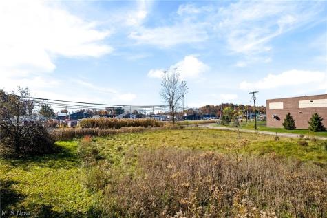 Ferndale Street Ravenna OH 44266