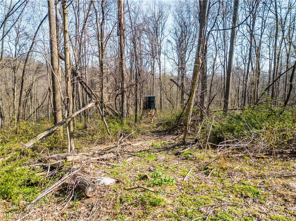 6706 Township Road 323 Road Millersburg OH 44633