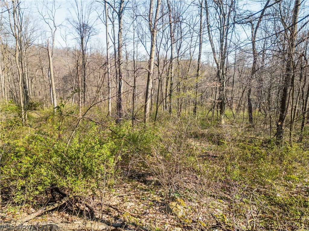 6706 Township Road 323 Road Millersburg OH 44633