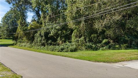 V/l Frank Avenue Barberton OH 44203