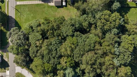V/l Frank Avenue Barberton OH 44203