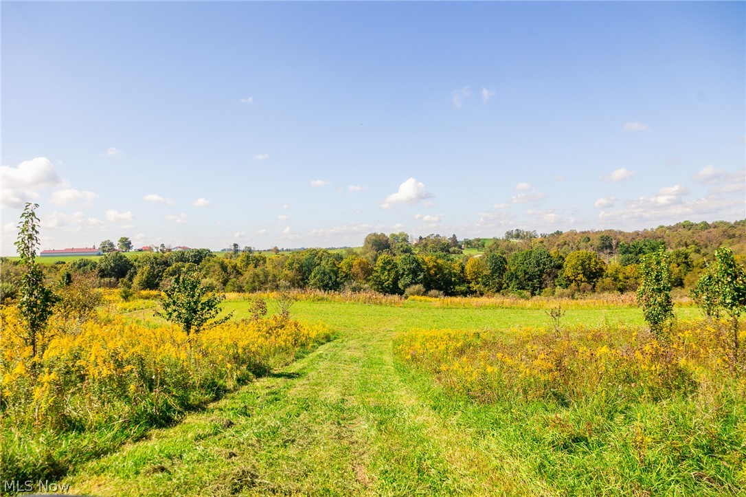 163 County Road 3 Rayland OH 43943