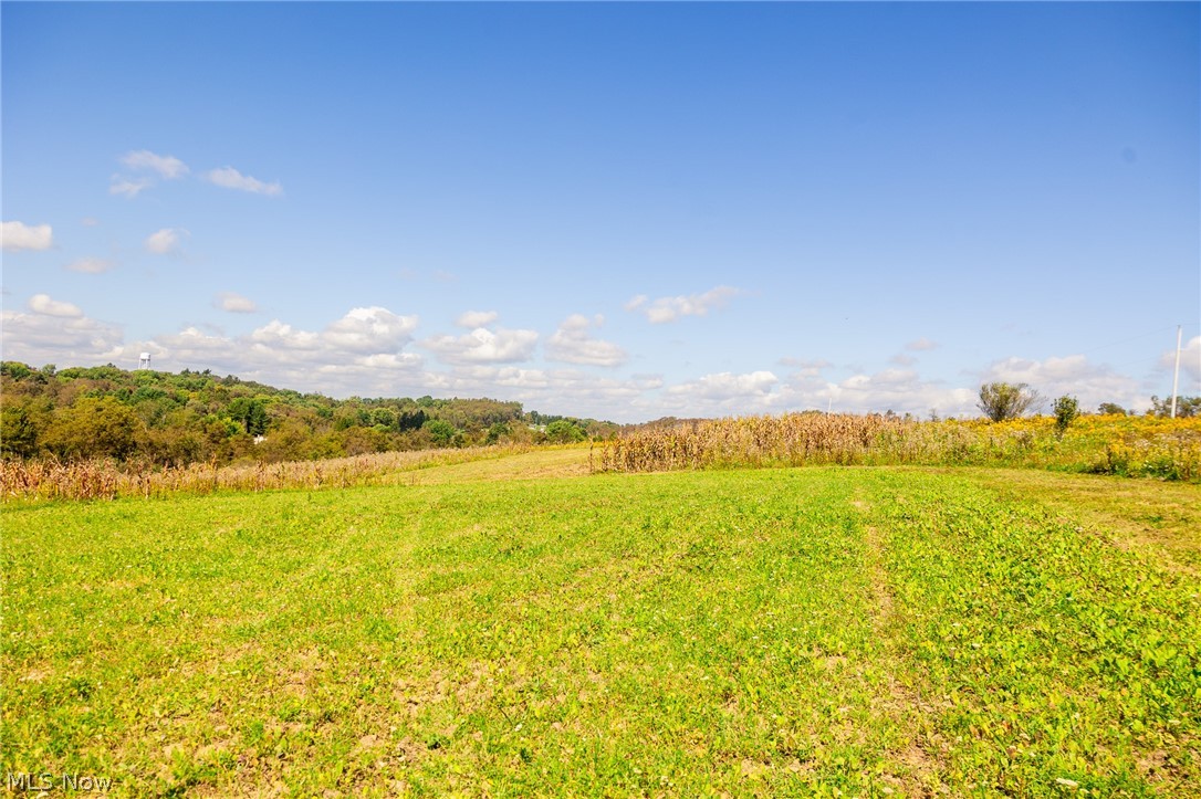 163 County Road 3 Rayland OH 43943