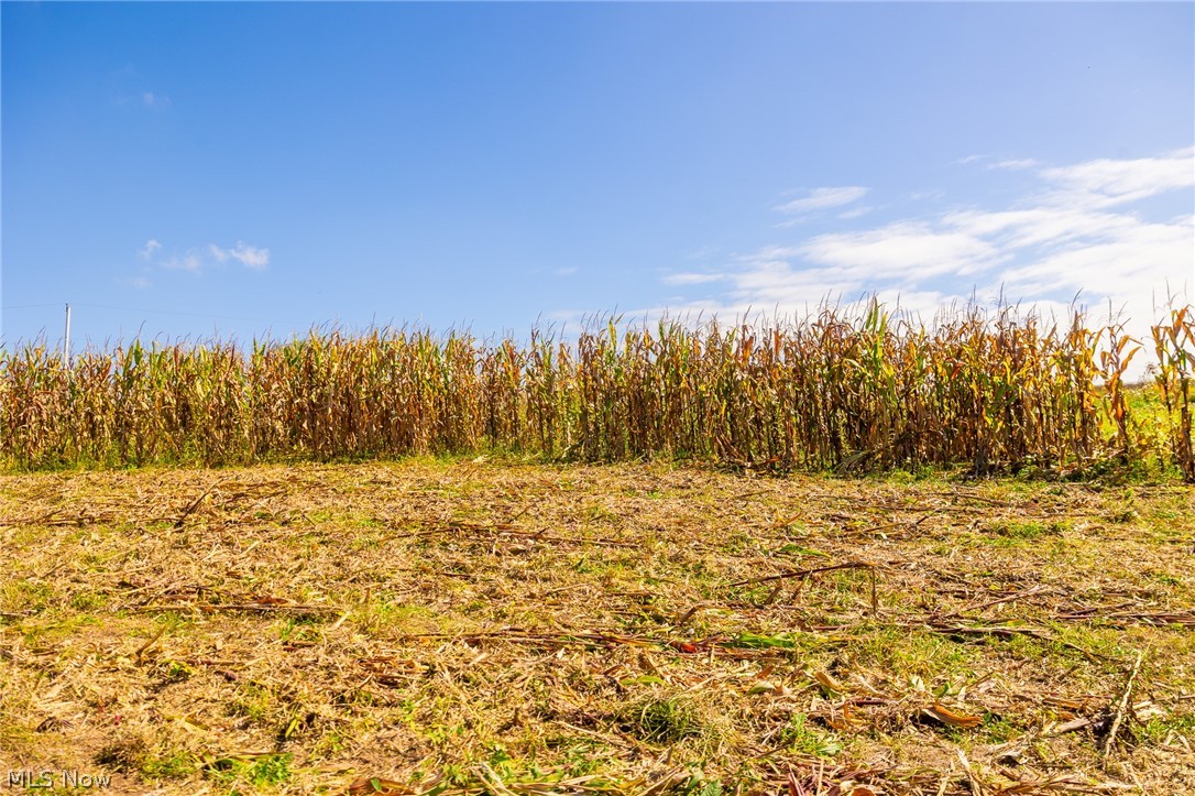 163 County Road 3 Rayland OH 43943
