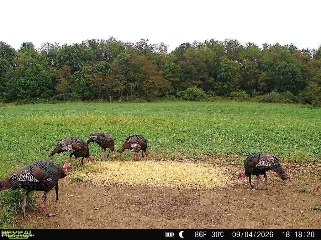 163 County Road 3 Rayland OH 43943