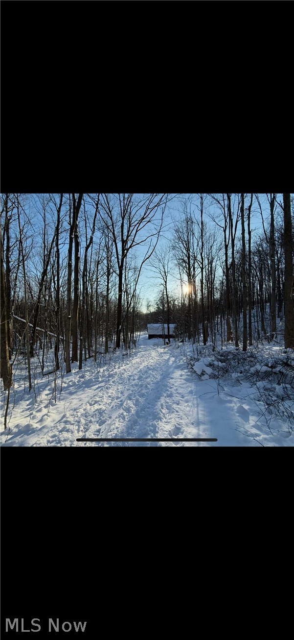 0 Winterberry Lane Chardon OH 44024