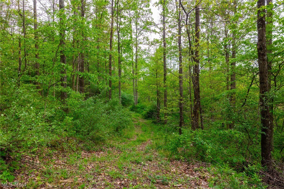 37795 Sheep Skin Ridge Lower Salem OH 45745