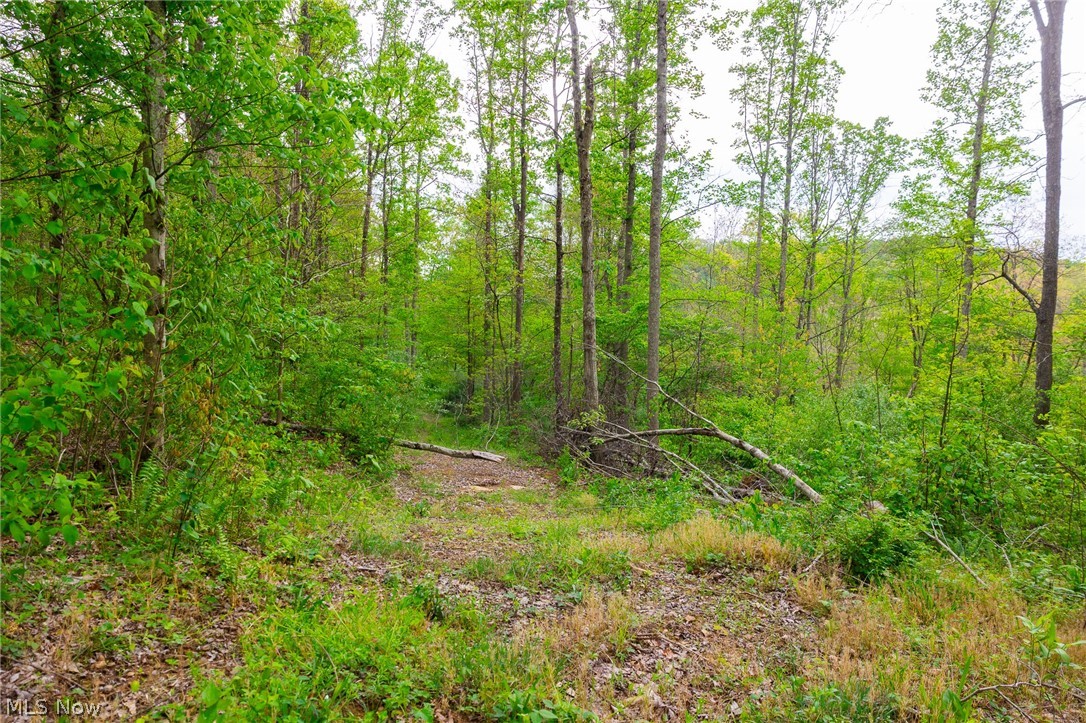 37795 Sheep Skin Ridge Lower Salem OH 45745