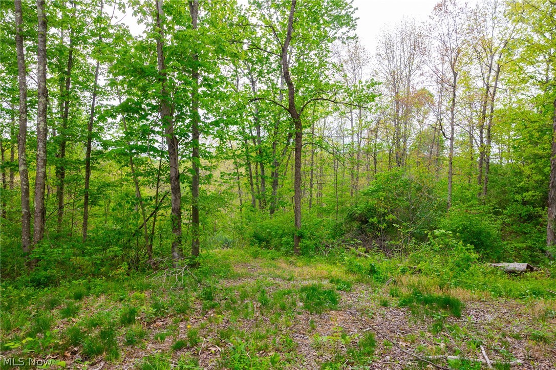 37795 Sheep Skin Ridge Lower Salem OH 45745